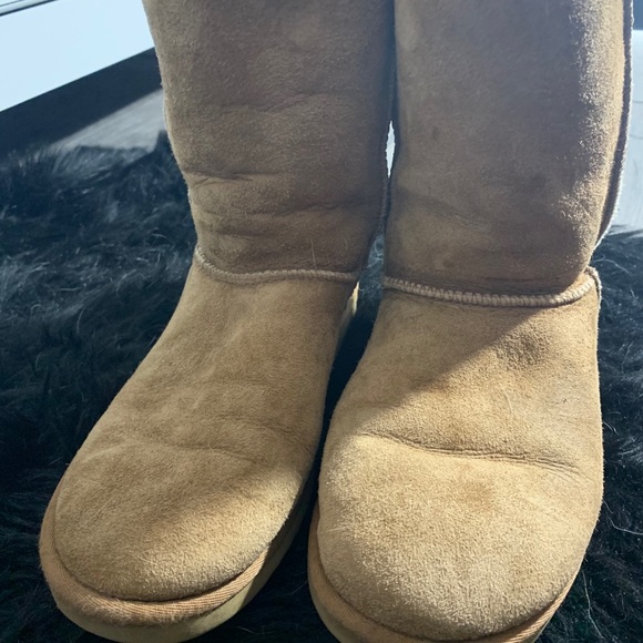 Chestnut UGGs - Picture 2 of 6